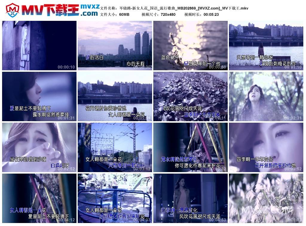 岑晓路-新女人花_国语_流行歌曲_MB202869